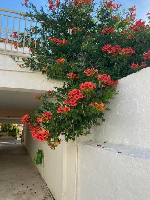 Spata Lykourgos Homes Exterior photo