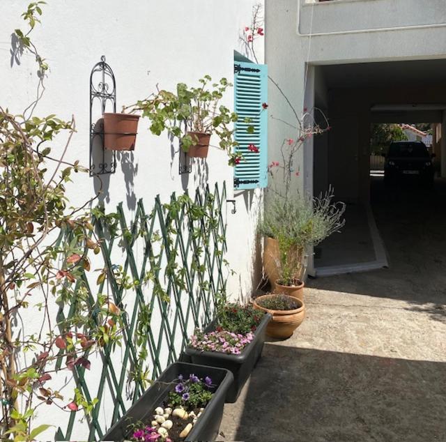 Spata Lykourgos Homes Exterior photo